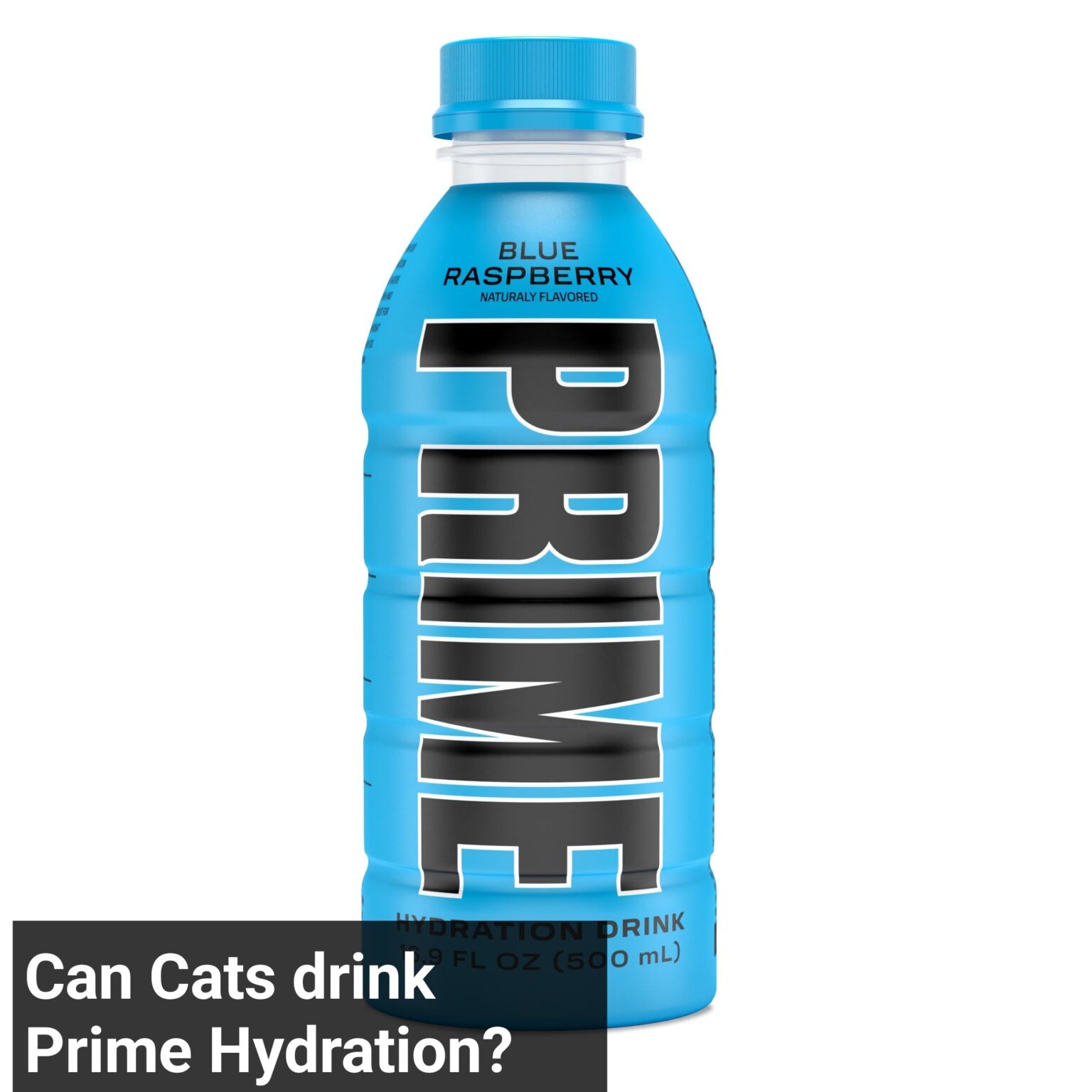 Can Cats drink Prime Hydration