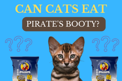 Can cats eat pirate booty