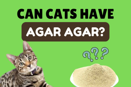 can cats have agar agar